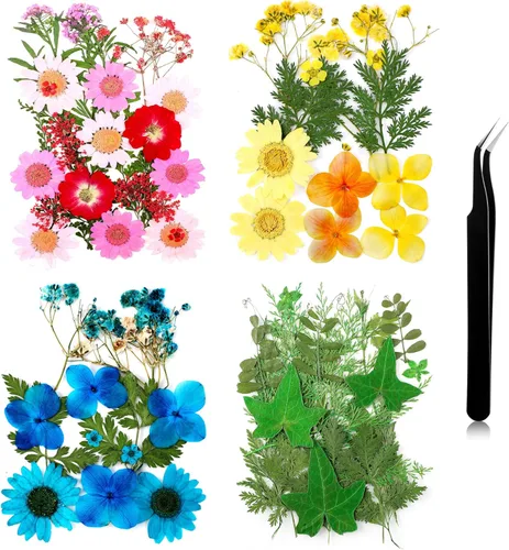 Miniatura 17 de Nuanchu Flores secas prensadas negras para manualidades, flores secas góticas, flores silvestres prensadas naturales a granel con pinzas para molde