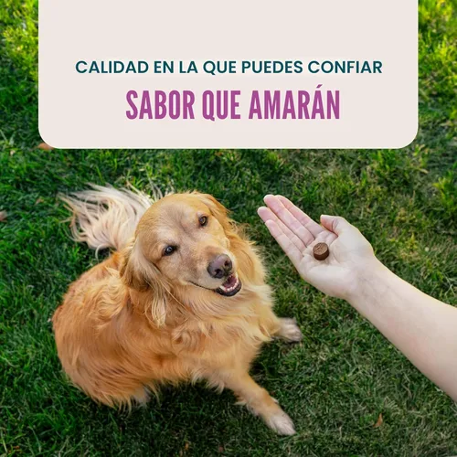 Miniatura 6 de VetIQ Suplemento calmante de apoyo para perros, masticables calmantes que ayudan a controlar el estrés y promover la relajación, alivio