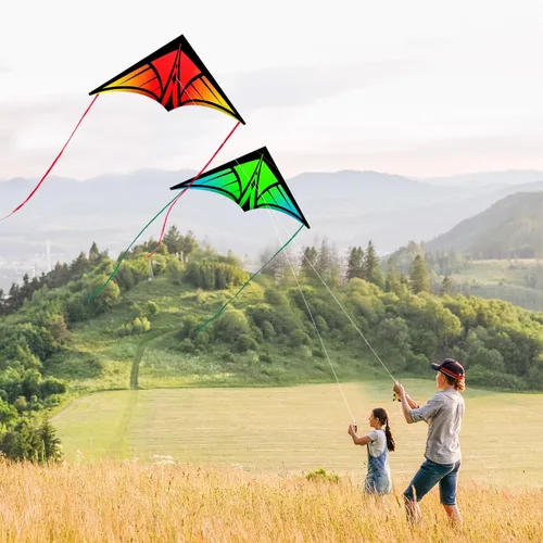 Miniatura 4 de Cometa Delta grande para niños y adultos, cometas al aire libre fáciles de volar para niños de 8 a 10 años, perfecta para actividades en la playa