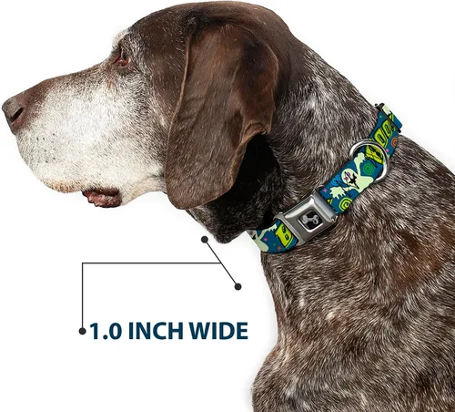 Miniatura 6 de buckle-down "Fantasma Boo. Azul/Multi Color Collar de perro hueso, amplia Medio/16 – 23