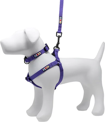 Pawtitas Paquete económico | Arnés para perro pequeño + collar para perro pequeño + correa para perro extra pequeña/pequeña de 6 pies, juego morado
