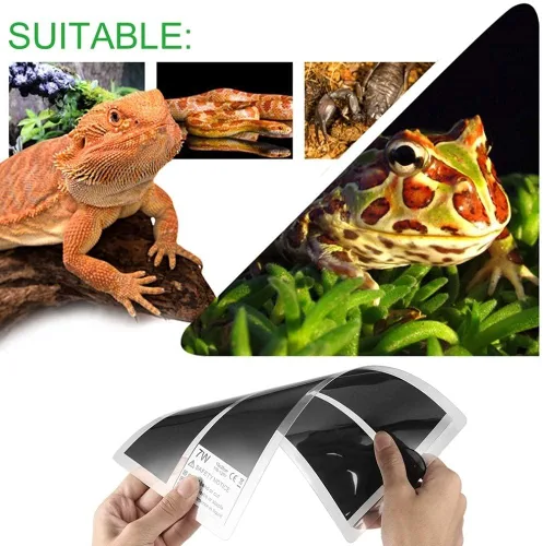 Miniatura 5 de Tbrand - Almohadilla térmica para reptiles con ajuste de temperatura, tapete térmico de 110 V 7 W para reptiles, tortuga, serpientes, lagarto