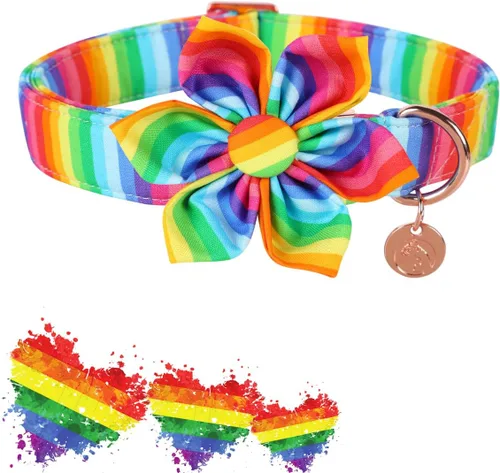 Miniatura 2 de DOGWONG Cotton Pride - Collar de perro LGBTQ de arcoíris, collar para cachorros, para perros pequeños, medianos y grandes Z: Arco iris
