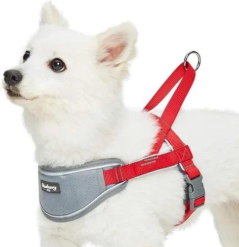 Blueberry Pet Arnés acolchado para perro, 8 colores, suave y cómodo, tiras reflectantes 3M, contorno de pecho de 30 a 38.5 pulgadas, rojo, grande,