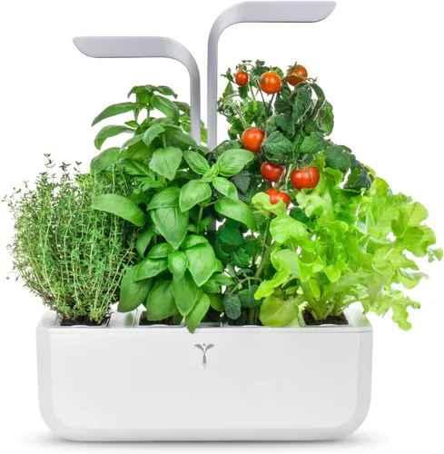 Miniatura 6 de Jardín interior inteligente de Véritable® - Exky Smart Arctic White - 2 lingots® incluidos