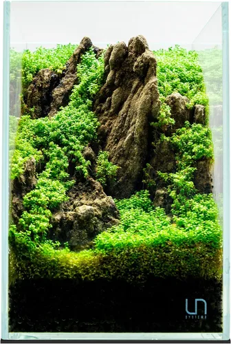 Miniatura 43 de UNS Acuario Ultra Claro Sin Borde - 25.6GAL 97.2L - 23.62x14.17x17.71 60x36x45 CM, Grosor de Vidrio de 6mm, Incluye Alfombrilla Nivelante