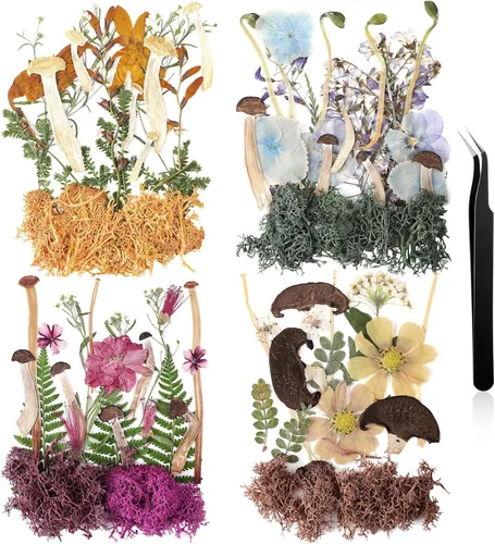 Miniatura 26 de Nuanchu Flores secas prensadas negras para manualidades, flores secas góticas, flores silvestres prensadas naturales a granel con pinzas para molde
