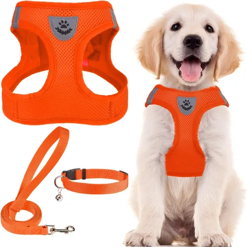 Miniatura 15 de PUPTECK - Arnés, collar y correa ajustables, sin tirones, para perros pequeños y medianos, cachorros y gatos, pechera reflectante acolchada de malla