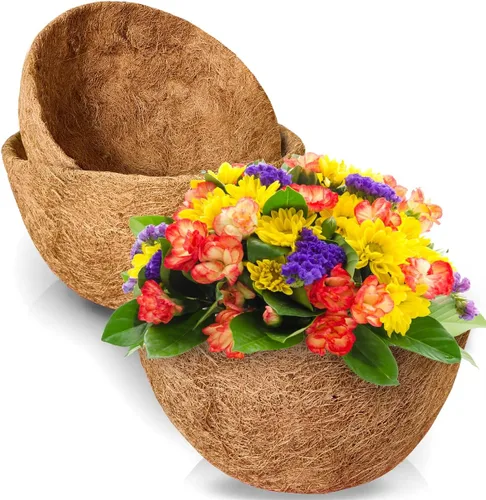 TigeJoy 2 forros de fibra de coco de 12 pulgadas para cestas colgantes, inserto de maceta de fibra de coco 100% natural, forros redondos de coco