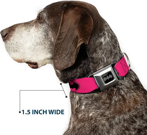 Miniatura 7 de Collar de perro hebilla de cinturón de seguridad Bat Signal 3 Fucsia Negro Fucsia 15 a 26 pulgadas 1.0 pulgadas de ancho