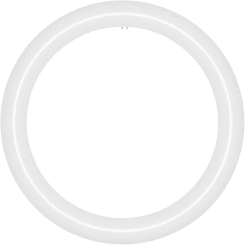 NYLL Lámpara LED T9 Circline tipo A Plug & Play de 12 pulgadas, blanco frío (4200 K), reemplazo directo para 32 W FC12T9/CW, FCL32W (sin recableado