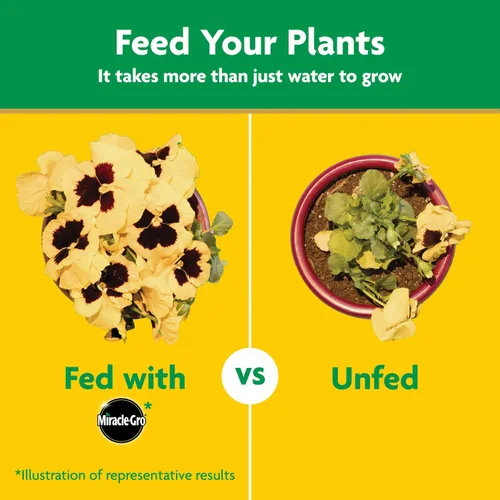 Miniatura 9 de Miracle-Gro - Alimento soluble en agua para plantas multiusos, fertilizante para todas las plantas de interior o exterior, incluyendo rosas, flores