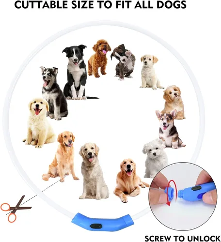 Miniatura 6 de NOVKIN Collar de perro con luz LED, collar de perro con luz recargable, luces para perros impermeables IP67 para caminar por la noche, collar de Rojo