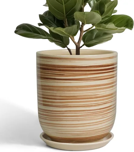 Miniatura 28 de Maceta de Cerámica para Plantas de Interior de 5 Pulgadas - Maceta Redonda para Plantas Suculentas con Agujero de Drenaje y Platillo, Decoración