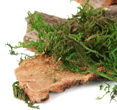 Miniatura 4 de BYHER Musgo Falso para Manualidades, Accesorios Surtidos de Corteza de Árbol para Jardín de Hadas, Musgo Verde para Decorar, Corteza de Árbol