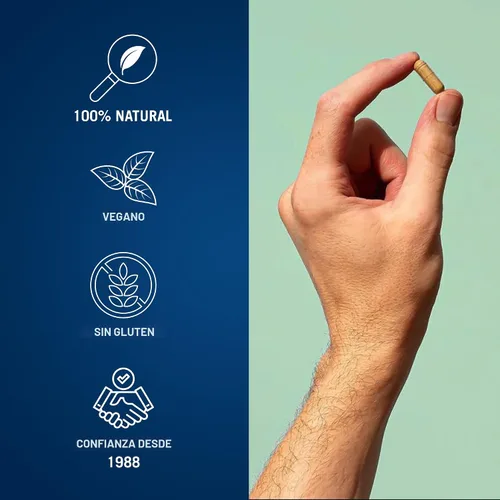 Miniatura 5 de Century Systems The Cleaner Detox, potente fórmula de limpieza interna completa de 7 días para hombres, apoya la salud digestiva, 52 cápsulas