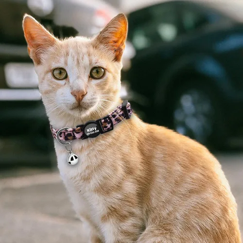 Miniatura 6 de Collares personalizados de gato con campana de lazo, liberación rápida, impresión HD, collares de gatito personalizados para niñas y niños