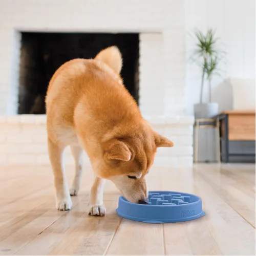 Miniatura 6 de Outward Hound Fun Feeder Slo Bowl Cuenco para perro de alimentación lenta, mediano/pequeño, color azul