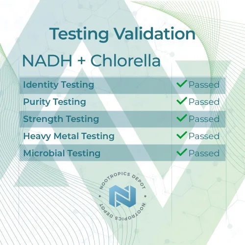 Miniatura 7 de Nootropics Depot NADH + Chlorella vulgaris (células rotas) cápsulas de 400 mg Dinucleótido de adenina de nicotinamida de 20 mg Clorofila 10 mg