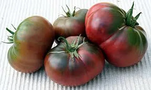 Miniatura 3 de Tomate, negro de TULA, reliquia, 100 semillas, tomate negro más grande - sabroso