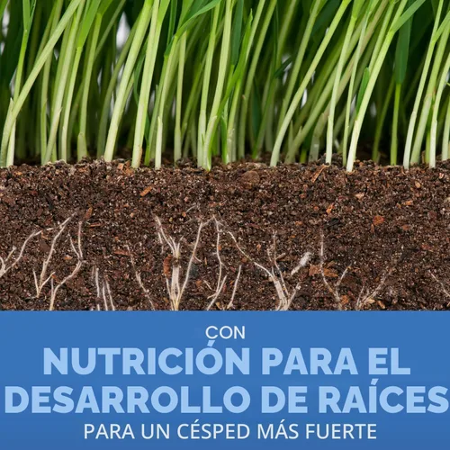 Miniatura 3 de Scotts – Mezcla de semillas de césped Turf Builder Sun & Shade con fertilizante y mejorador de suelo, prospera en diversas condiciones, 16 libras
