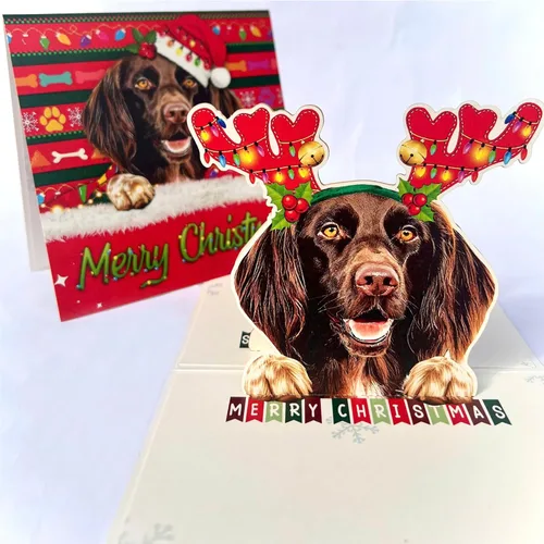 Miniatura 29 de Tarjeta de cumpleaños de perro Beagle 3D emergente – Felicitación de feliz cumpleaños para los amantes de los perros – Tarjeta desplegable