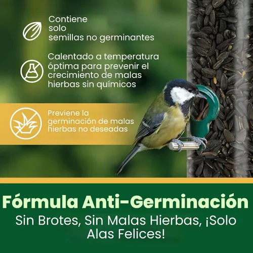 Miniatura 2 de Happy Wings Semillas de Girasol de Aceite Negro – Alimento para Aves Silvestres de 5 libras para Cardenales, Pinzones y Carboneros – Alimento