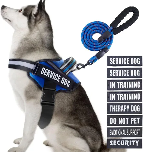 Miniatura 41 de Juego de arnés y correa para perro de servicio, arnés de entrenamiento para perro Animire con 10 parches para perros, correa reflectante para perro