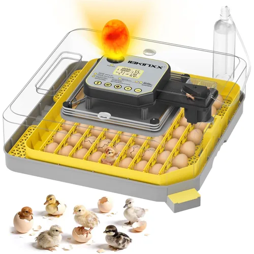 Miniatura 9 de Incubadora para incubar huevos: capacidad de 12 huevos, nuevo cambiador automático de huevos 2026, control de temperatura y humedad, visualización