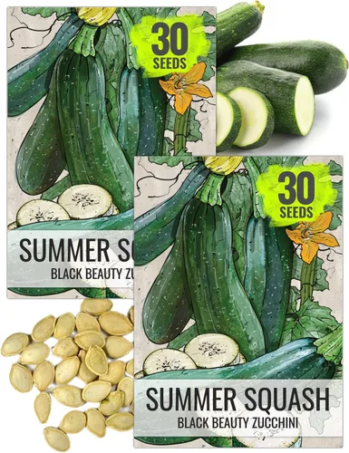 Miniatura 8 de Seed Needs Semillas de calabacín para plantar calabaza de verano Black Beauty, sin OMG, reliquia y sin tratar, rendimientos prolíficos de deliciosos