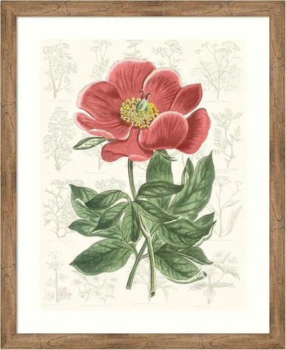 Miniatura 9 de Amanti Art Vision Studio - Lienzo decorativo para pared, 24 x 20 pulgadas, diseño de jardín de flores de peonía, arte de pared de flores, decoración