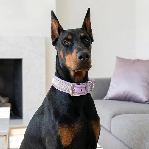 Miniatura 5 de Collar para perro con diamantes de imitación, deslumbrante y brillante ante suave, collar de perro grande reflectante con cristales para perros Negro