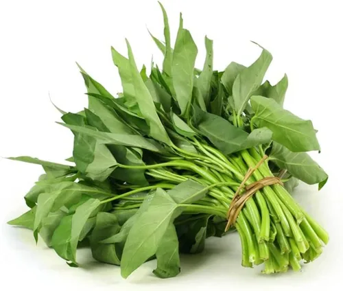 Kong Xin CAI Seeds – Semillas de vegetales de hoja verde para plantar jardín – Semillas Choy Ong sin OMG – Se envía desde Iowa, Estados Unidos