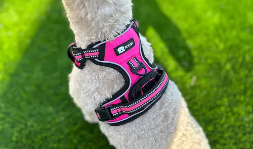 Miniatura 7 de ROOSK Arnés para perro Sin tirones, reflectante, ajustable en 4 direcciones con soporte para bolsa de excrementos Máxima comodidad, suave