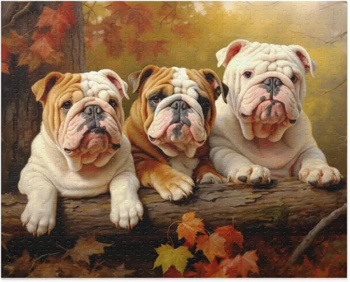 Rompecabezas de 500 piezas para adultos – Bulldogs ingleses en Autumn Park – Rompecabezas de madera, rompecabezas de animales para jóvenes y niños,