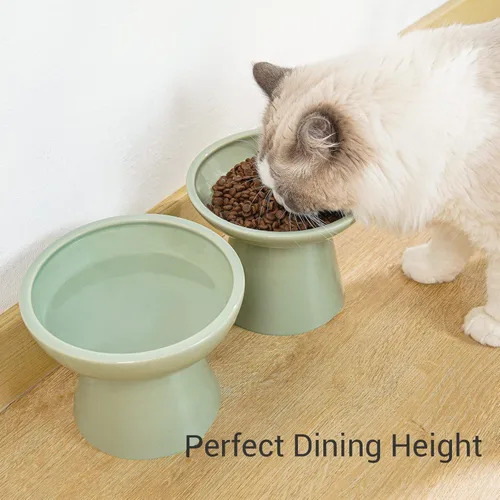 Miniatura 4 de CEEFU 2 cuencos elevados de cerámica para gatos extra anchos para alimentos y agua, plato de comida poco profunda, sin plomo ni cadmio, altura Verde