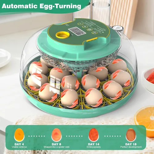 Miniatura 4 de Incubadora de 18 huevos con giro automático de huevos y control de humedad, incubadora de huevos de pollo, incubadora de vista grande para huevos