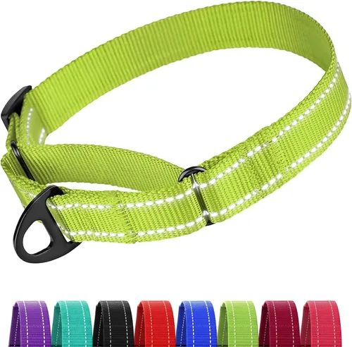 Miniatura 7 de CollarDirect Martingale - Collar de nailon resistente para perros pequeños, medianos y grandes [nailon, estampado, aguamarina, L, 15-20 pulgadas)