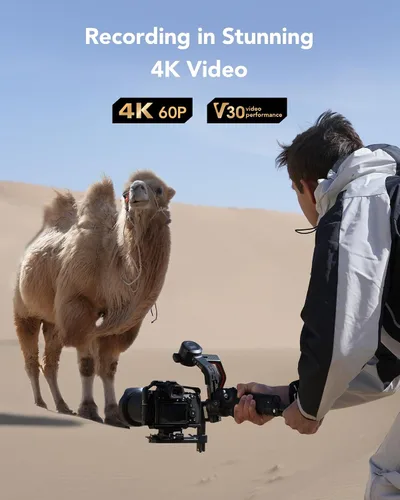 Miniatura 4 de Lexar Tarjeta SD plateada de 512 GB, tarjeta SDXC UHS-I de hasta 205 MB/s, lectura de 140 MB/s, escritura V30, video 4K UHD, U3, clase 10, tarjeta