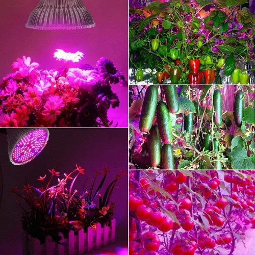 Miniatura 3 de highydroLED Bombilla LED de crecimiento de 100 W de espectro completo, bombilla para plantas con 150 LED para plantas de interior, enchufe E26/E27