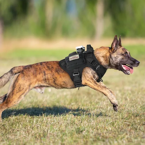 Miniatura 8 de rabbitgoo - Arnés táctico para perros pequeños, arnés resistente para mascotas con asa, chaleco de servicio sin tirones para razas pequeñas, chaleco