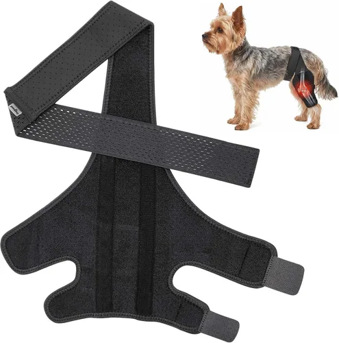 Rodillera para perro para ACL con estabilizadores laterales, soporte ajustable para cornejo articular, recuperación de cirugía de piernas caninas,