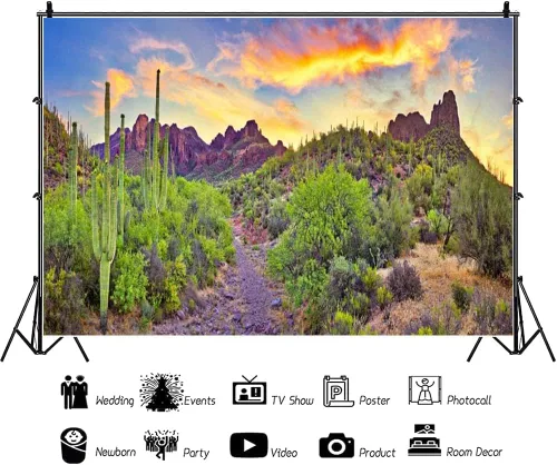 Miniatura 2 de AOFOTO Telón de fondo del desierto occidental de 6 x 3 pies, Parque Nacional Arizona, Roca, Montaña, Plantas Verdes Saguaro, Cactus Paisaje