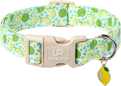 Miniatura 38 de Collar de perro de algodón de dinosaurio con hebilla de metal, collar de regalo para niñas o niños pequeños, medianos y grandes, lindos collares