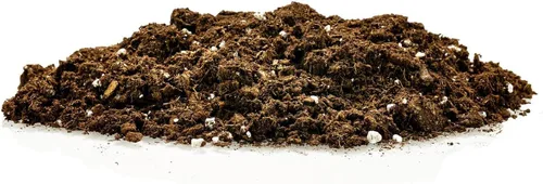 Miniatura 5 de GARDENERA Mezcla de tierra para macetas de árbol del dinero para plantar o trasplantar castaño de Guayana, tierra mezclada para cultivar