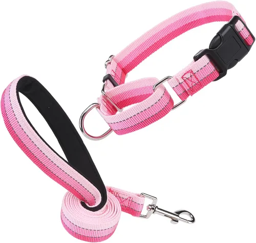 Miniatura 9 de Martingale - Juego de collar y correa para perro, para caminar, jugar, entrenar, collares reflectantes ajustables con correa para perros pequeños