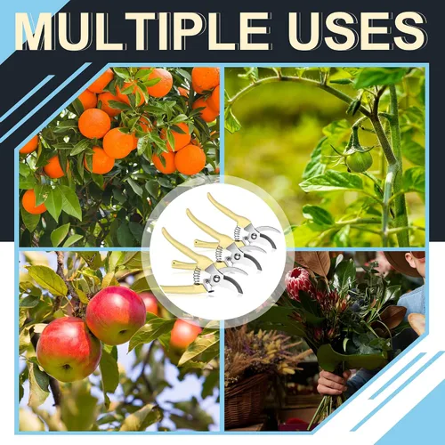 Miniatura 7 de Chumia 6 tijeras de podar de jardín, tijeras de mano resistentes de acero inoxidable para cortar flores, recortar árboles, regalos de jardinería