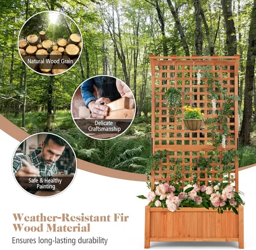 Miniatura 6 de S AFSTAR Cama de jardín elevada con enrejado, maceta elevada de madera con techo colgante y enrejado trepador, 4 agujeros de drenaje, contenedor