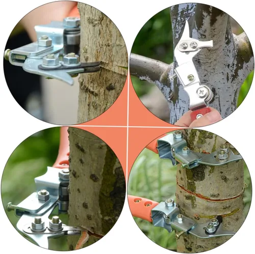 Miniatura 7 de 1 juego de cortador de anillos de fruta, tijeras de podar, cortador de manzana, herramienta de jardín, herramienta de poda, cortador de anillos