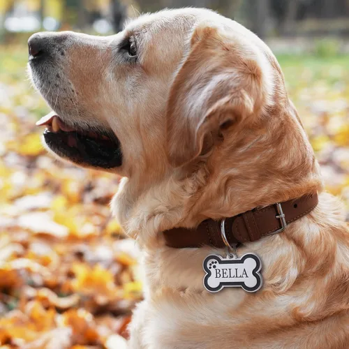 Miniatura 2 de Etiquetas de identificación de mascotas personalizadas de acero inoxidable con diseño de hueso brillante - Etiquetas de perro profundamente grabadas